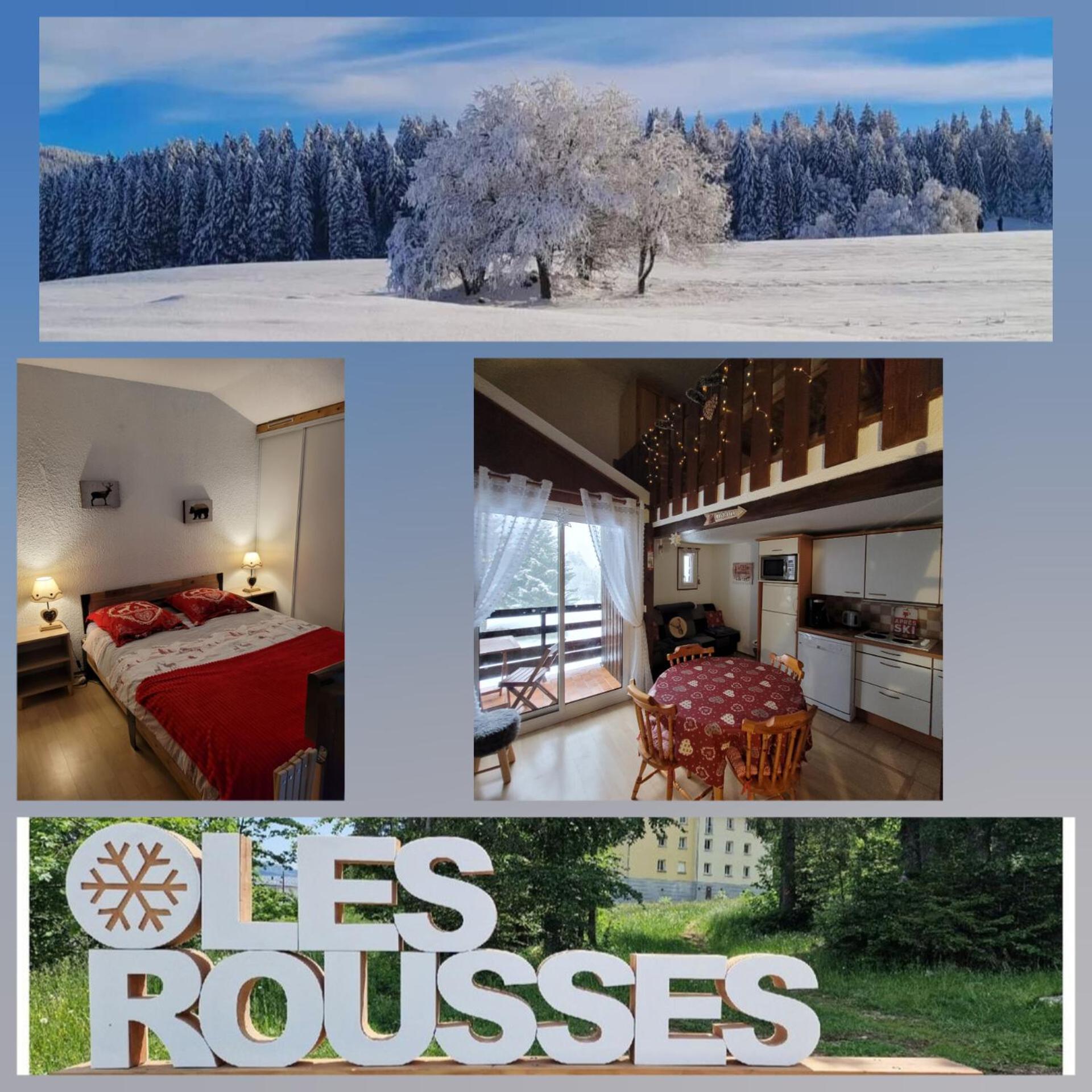 Le Duplex, Superbe Cocon Au Coeur Des Rousses, Tout Confort 5 Pers, Draps Inclus Les Rousses Esterno foto